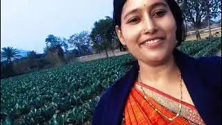 Fulgobhi Ki Kheti Dekh Dimaag Hil Jaayega  | Aisi Farming Kabhi Nahi Dekhi | #youtube #vlog #viral 