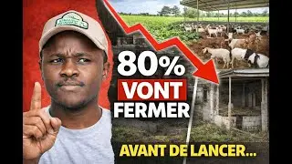 L'HÉCATOMBE  Pourquoi 80% des fermes vont fermer d'ici 5 ans