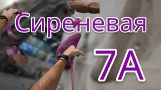 Скалолазание в зале - сиреневая 7а