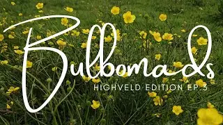 EP.3 Highveld Habitats [Seasonal Changes]