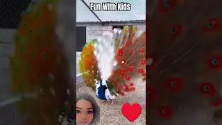 Peacock Parade: Exploring the Splendor of Nature's Majesty... World's Most Beautiful 😍❤️ Peacocks 🦚