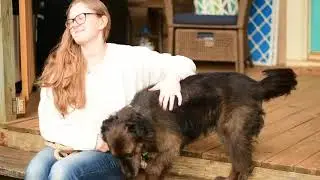 Vet Student&rsquo;s Dog Receives Lifesaving Cancer Treatment |n Petco Love
