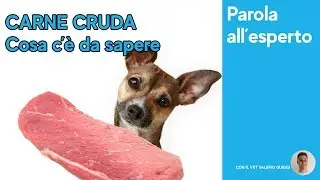 TUTTA LA VERITÀ SULLA CARNE CRUDA E DELLA DIETA AL CRUDO