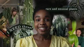 My 2026 Plant Wishlist 🌿 Rare, Textured & Cozy Indoor Plants I Want Next