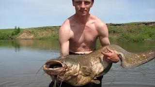 Рыбалка, сом весом 20 кг на донку, взял на лягушку