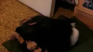 Maïka in trouble with her Teddy/ Maïka a qqs soucis avec son doudou!
