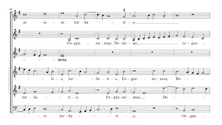 Pierre de Manchicourt - Sustinuimus pacem