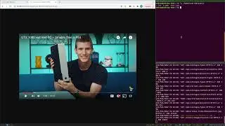 Label Studio: Local Storage with Custom Import Task Format