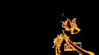 Rynerrr - Hundeleben