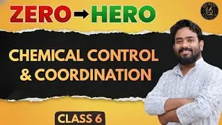 Chemical Control & Coordination Class 11 Biology | Zero to Hero 🔥 Class 6 | Bio Hunt