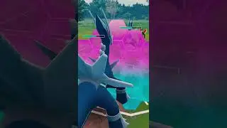 2 Shield Kyogre? UH-OH! #gobattleleague #pokemongo #shorts #masterleague #shinypokemon
