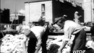 PKF 1950 43