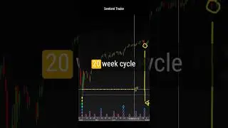 The Resilience of Hurst Cycles Analysis #trading #financialmarket #stockmarket #investing
