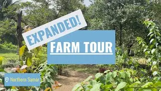 #2 Expanded Farm Tour, Northern Samar, Philippines |January 2022 4K