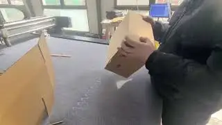 Carton creasing and cutting