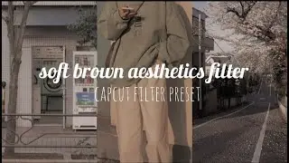 soft brown aesthetics filter |:; using capcut
