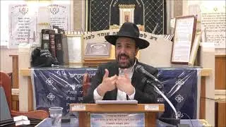 הרב מאיר אליהו | גלגול רשב