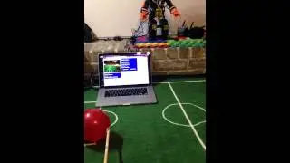Chap (HR-OS1) vision tracking