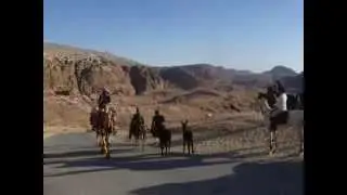 Jordan by Horse / Jordania a Caballo 04 2014