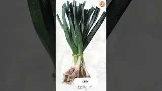 ABC Veggie Names / Veggie Alphabet Song - Part 2: J to S - #singing & #learning #abcd together