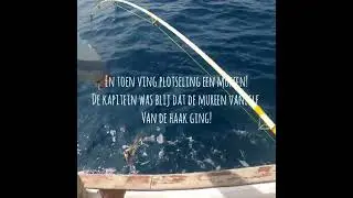 Fishing Cabo Verde (SAL) #biggame #jigging #holiday #tigershark #amberjack #lesseramberjack
