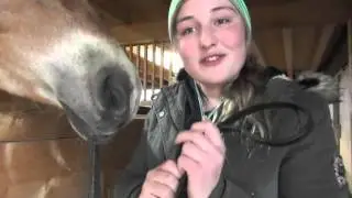 REITERTIPP`S by Lunschen1 // Der verstellbare Salzleckstein