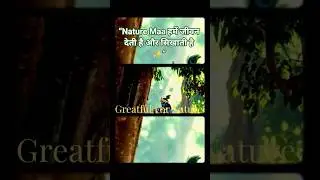 🌿 Nature Maa | Mother Nature&rsquo;s Blessings & Healing Energy 🌸 #gitaspgworld #love #shorts
