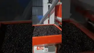 Mini Dal Mill available at Hosur +91 9787626421 All types of Pulses Dal mill