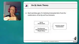 Advanced Saam Acupuncture: Combining Saam Strategies & Tailoring Point Combinations to Constitution