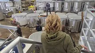 We Toured Vinovate