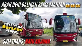 INI DIA PENAMPAKAN UNIT BARU ABAH DENI😱SJM TRANS SINGLE GLASS🔥