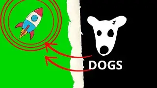 Massive $DOGS Airdrop Boosts Market Cap: Is Now the Time to Invest?