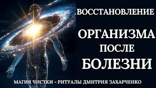 Recovery of the body after illness.