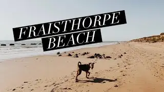 DAY AT FRAISTHORPE BEACH - ARCHIE AND ME - VAN LIFE UK