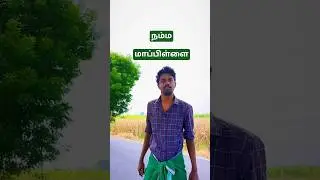 நல்ல மாப்பிள்ளை | tamil comedy | tamil entertainment| kaaviya thalaivan| tamil movie | #shorts tamil