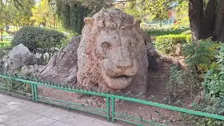Live From Ifrane
