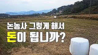 논농사 그렇게 해서 돈이 됩니까?