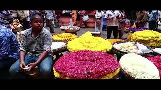 Bangalore Diary