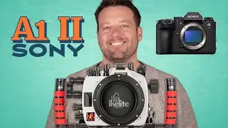 Sony a1 II Setting It Up // Ikelite 200DL Deluxe Underwater Housing