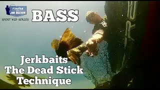 BASS  Jerkbaits & The Deadstick Technique