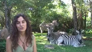 www.animalspirit.org