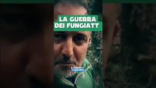 LA GUERRA DEI FUNGIATT #fungiatt #funghi #funghiporcini🍄 #brianzolo #valtellina