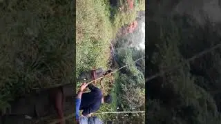 Gavi camp fishing