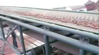 pressing corn straw pellet from Yulong Brand Pellet Machine