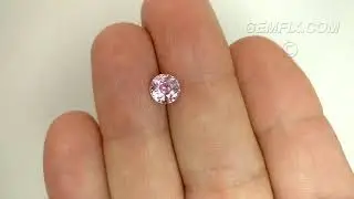Light Pink Natural Sapphire Round | 2.04cts | #13-552