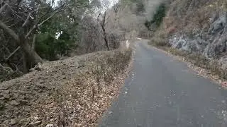 日向林道ラン1 伊勢原,神奈川,日本/Runnninng on the HINATA Forest Road No.1 in ISEHARA,KANAGAWA,JAPAN
