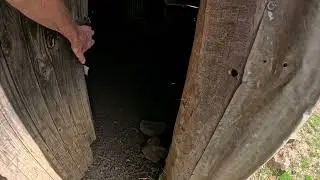 Howitt Hut