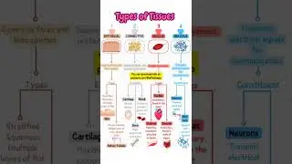 Types of Tissues informative video for biology topic in Competitive Exam 2025 must watch#2025#tissue