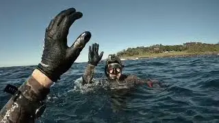 SPEARFISHING BASSPOINT