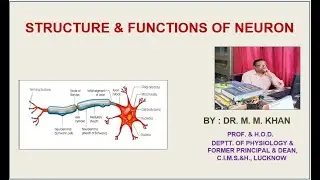 # STRUCTURE & FUNCTIONS OF NEURON # MYELINATED & NON MYELINATED NERVE FIBER# BY : DR. M. MUSLIM KHAN